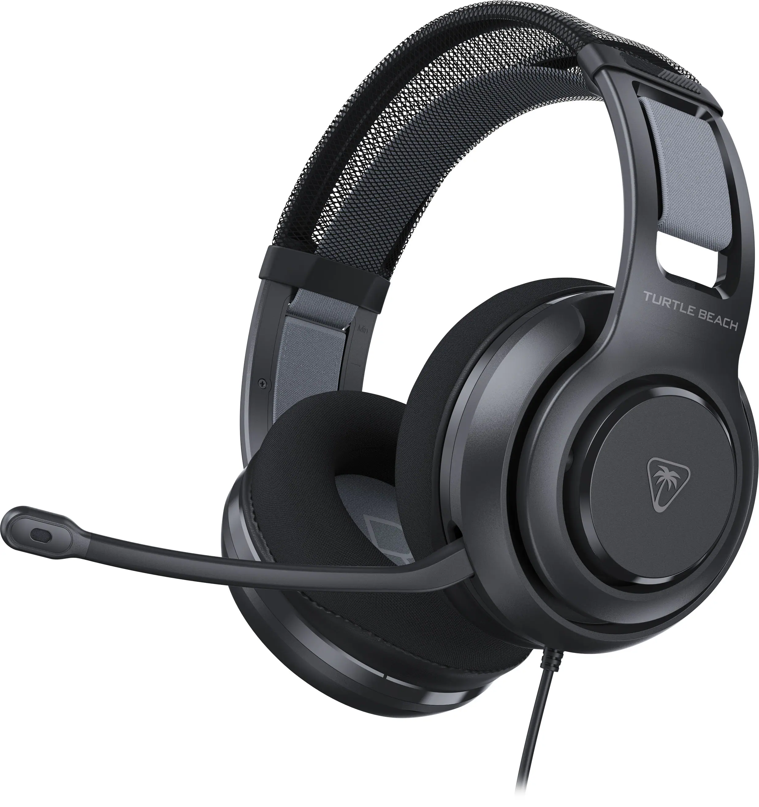 The text on the image is "TURTLE BEACH."